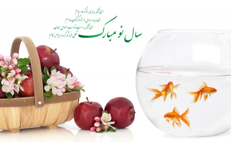 عیدی از ما سرور بگیرید